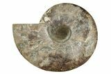 Cut & Polished Ammonite Fossil (Half) - Deep Crystal Pockets #342129-1
